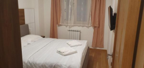 Vila Borova apartman 1